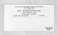 Image Associated With the Occurence